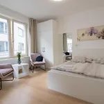Apartman Krakovska *