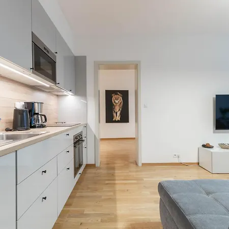 What A Flat On Krakovska * Praga
